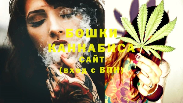 гашик Анжеро-Судженск