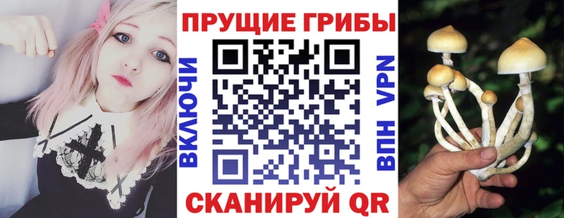 где купить   Радужный  Псилоцибиновые грибы мухоморы 